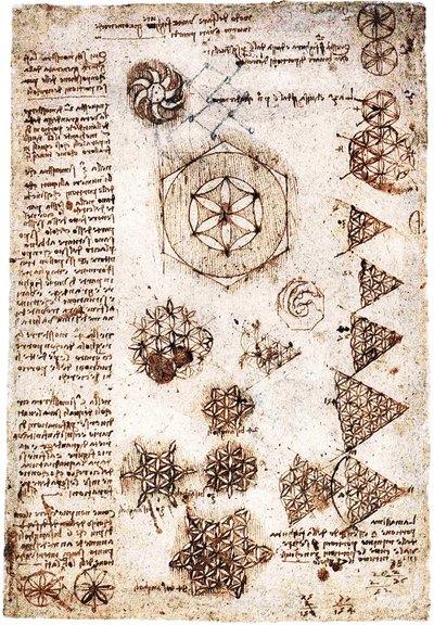 Bloem des Levens door Leonardo da Vinci